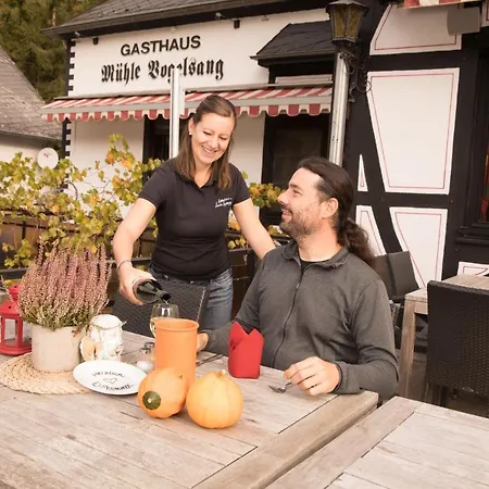 Historische Muehle Vogelsang Appartement Brodenbach