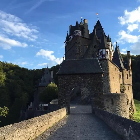 Historische Muehle Vogelsang * Brodenbach