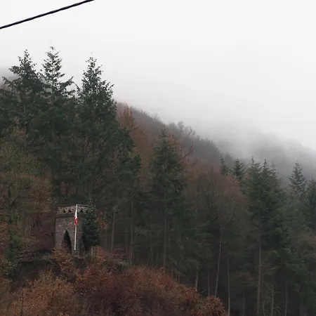 Historische Muehle Vogelsang