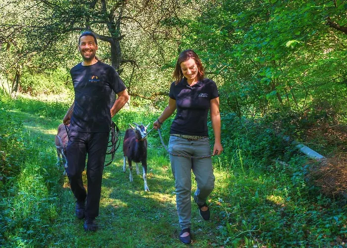 Historische Muehle Vogelsang Brodenbach