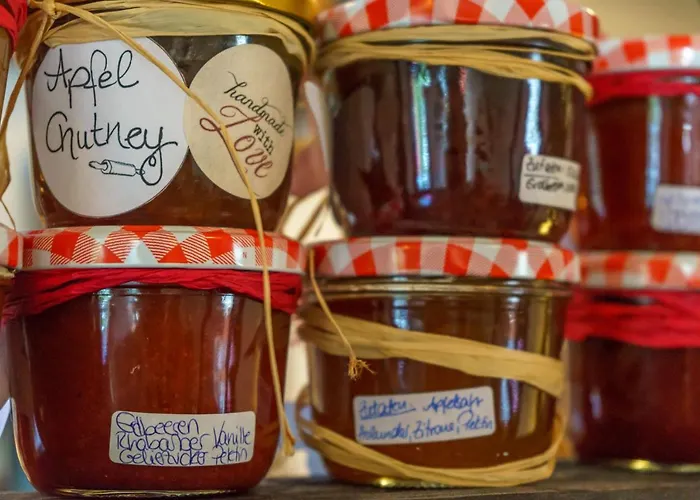 Historische Muehle Vogelsang Appartement Brodenbach